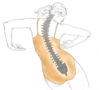 r moelle épinière yoga