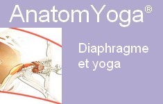 vignette diaphragmeyoga