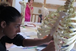 Quick Anatomie à distance