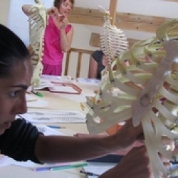 Quick Anatomie à distance
