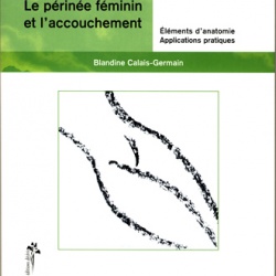 Le Perinee féminin et l'accouchement