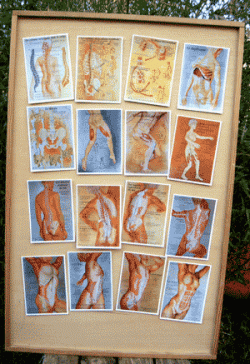 16 Cartes d'anatomie