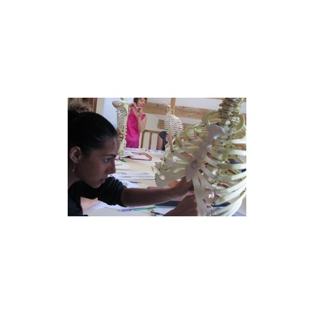 Quick Anatomie à distance