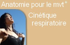 Cinetique respiratoire
