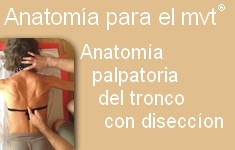 anatomia palpatoria