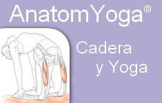 cadera y yoga