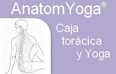 caja toracica yoga