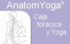 caja toracica yoga