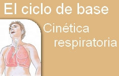 cinetica respiratoria