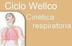 vignette cinetica respiratoria