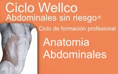 vignette wellco abdominales