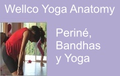 vignettebandhasy yoga