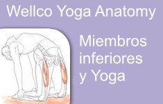 vignettemiem inf yoga