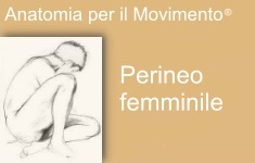 vignette perineo femminile it jpg