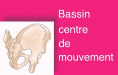 bassincentre mvt