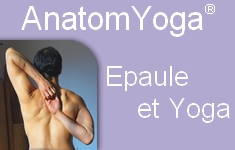 ceinture scap yoga