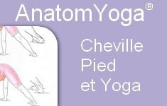 cheville pied yoga