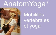 colonne yoga fr