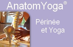 périnee yoga