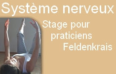 syst_nerveux_feldenkrais